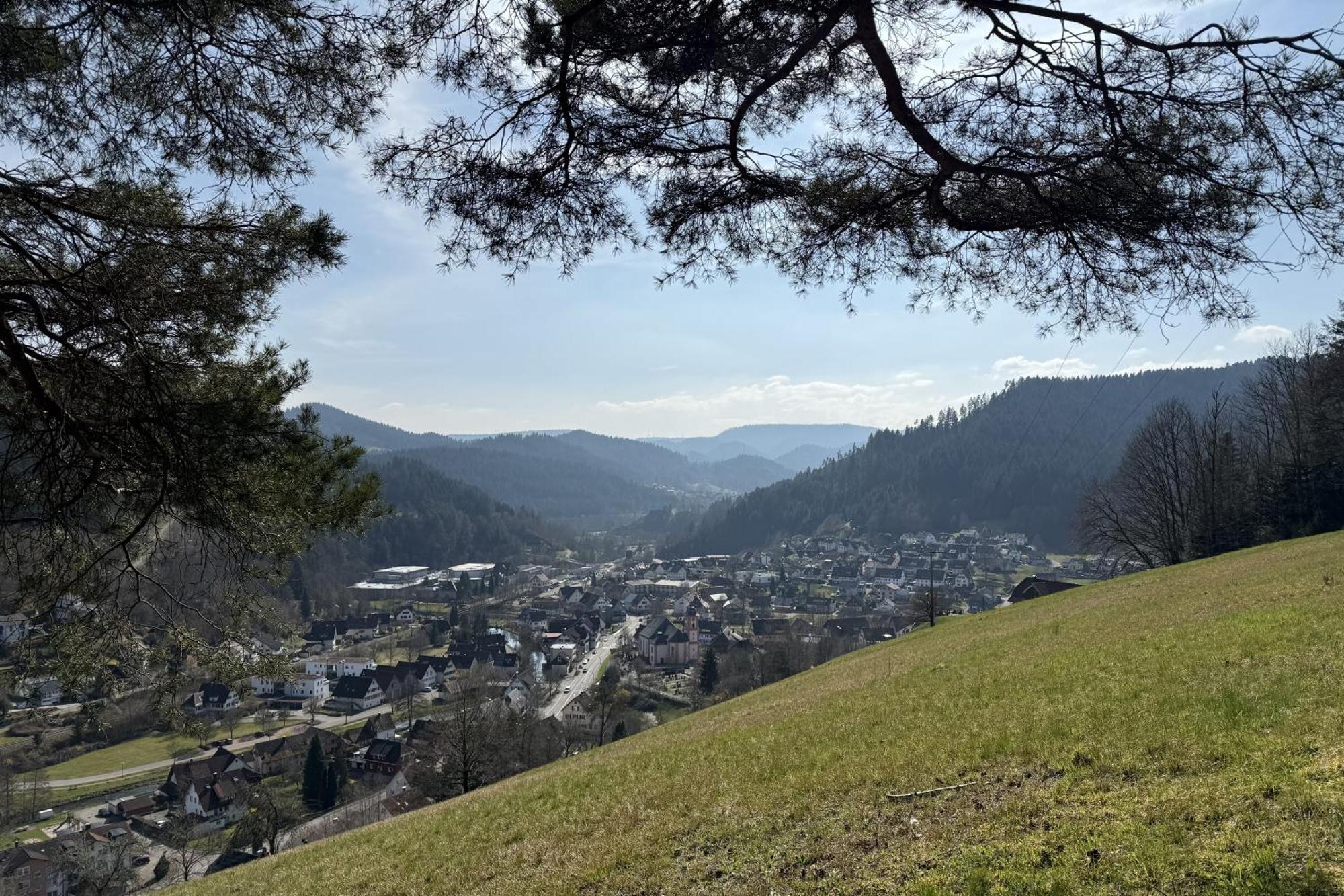 Schwarzwald Blockhaus - Sauna - Kamin - Mit Bettwaesche Und Handtuecher Schenkenzell Exteriör bild